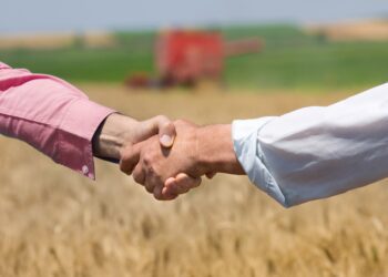 EPKK arendusnõunik Triin Hallap. Foto: Shutterstock