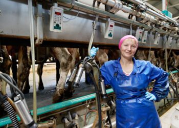 Välismaa põllutöölised tuleb ka eriolukorra ajal Eestisse lubada. Põllumeeste vastus maaelu- ja siseministrile. Foto: Shutterstock