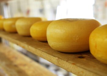 Koroonakriis pärsib talutootmist. Ühistegevuse konverents. Foto: Pixabay