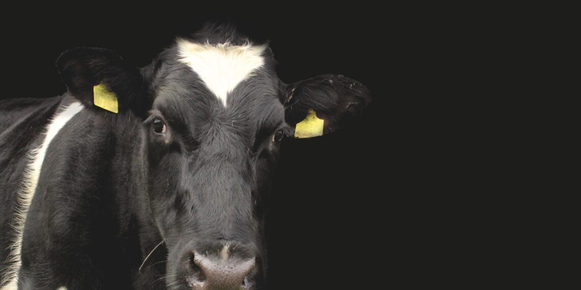 EPKK peab oluliseks üleminekutoetuste maksmist nii sellel kui järgmisel aastal. Foto: Pixabay