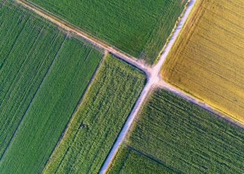 Põllukultuuride andmete esitamine. Foto: Shutterstock
