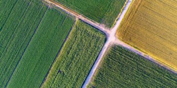 Põllukultuuride andmete esitamine. Foto: Shutterstock