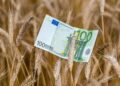 Riigimaal põlluharijaid ähvardanud suur hinnatõus võib ära jääda. Foto: Shutterstock