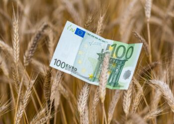 Riigimaal põlluharijaid ähvardanud suur hinnatõus võib ära jääda. Foto: Shutterstock