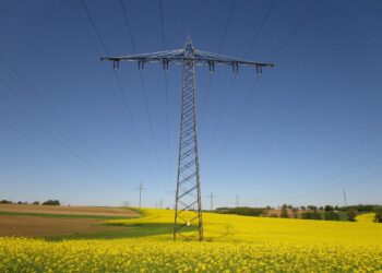 Maaomanik saab taotleda tehnovõrgu talumistasu. Foto: Shutterstock