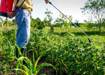 Taimekaitsetöödel. Foto: Pixabay