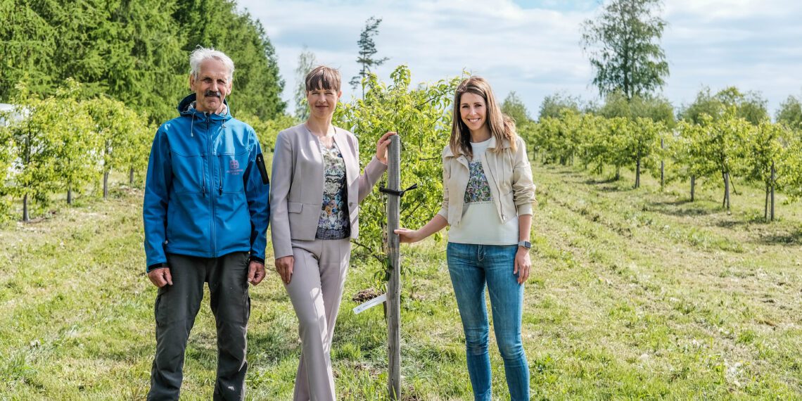 Kersti Kaljulaid Marjamaa talu külastusel 03. juunil 2020. Foto: EPKK