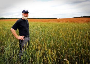 Põllumehed näevad maksu- ja tolliametis partnerit. Foto: Pixabay