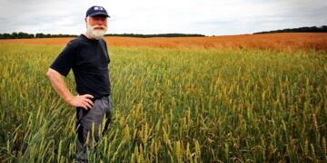 Põllumehed näevad maksu- ja tolliametis partnerit. Foto: Pixabay