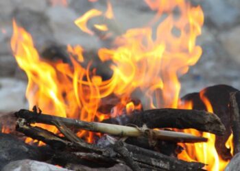 Metsa hooldamine aitab ära hoida metsatulekahju. Foto: Pixabay