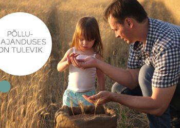 Põllumajanduskoda kutsub õppima maamajanduserialasid. Foto: EPKK