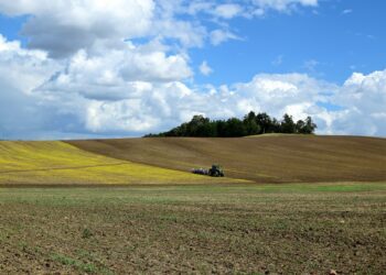 Riigimaa kasutusvalduse lepingud. Foto: Pixabay