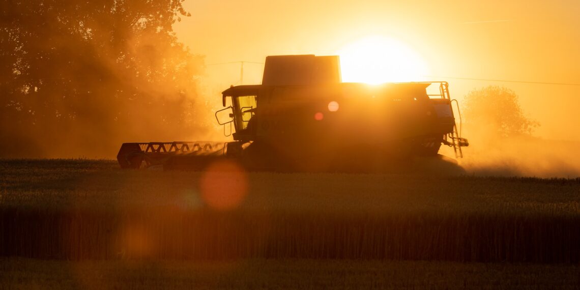 Mida koroonakriis meile õpetas? Foto: Pixabay