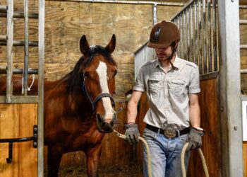 Põllumajandusõpe popiks. Mullu juunis toimunud hobuhooldaja kutseeksam Järvamaa Kutsehariduskeskuse Särevere ratsakompleksis. Foto: Kutsekoda