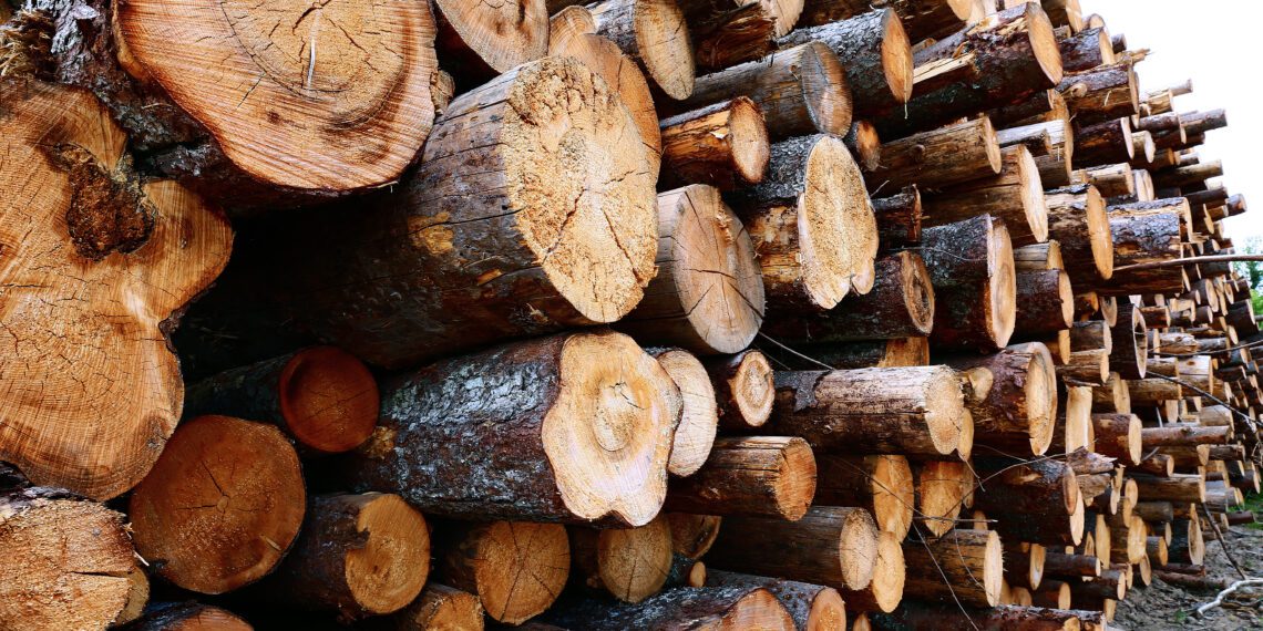 Metsaühistu: teise kvartali puiduturul olid tegijad kasepakk ja kasepalk. Foto: Shutterstock