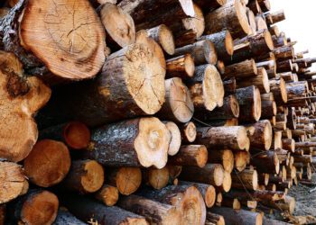 Metsaühistu: teise kvartali puiduturul olid tegijad kasepakk ja kasepalk. Foto: Shutterstock