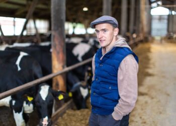 Madala piimahinna tõttu raskustesse sattunud piimatootjad soovivad riigilt abi, kuid riigi prioriteedid on praegu mujal kui põllumajanduses. Fotol Põlvamaal Külmsoo talus piimakarja kasvatav Ole Musting. Foto: Arvo Meeks / Lõuna-Eesti Postimees