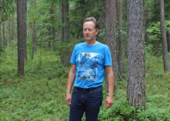 Aigar Paas hakkas Pullijärve puhkeküla ümbritsevasse metsa mustikamuru kujundama kümmekond aastat tagasi. Puhkemets. Foto: Toomas Kelt