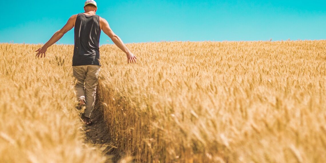 Hooajatöötajate palkamisel keeratakse kraani koomale. Foto: Pixabay