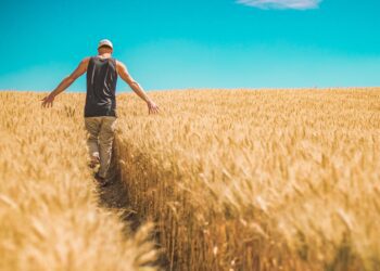 Hooajatöötajate palkamisel keeratakse kraani koomale. Foto: Pixabay