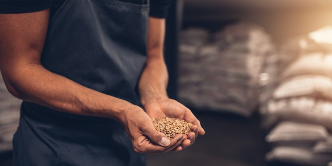 Teraviljafoorum 2020. Foto: Shutterstock