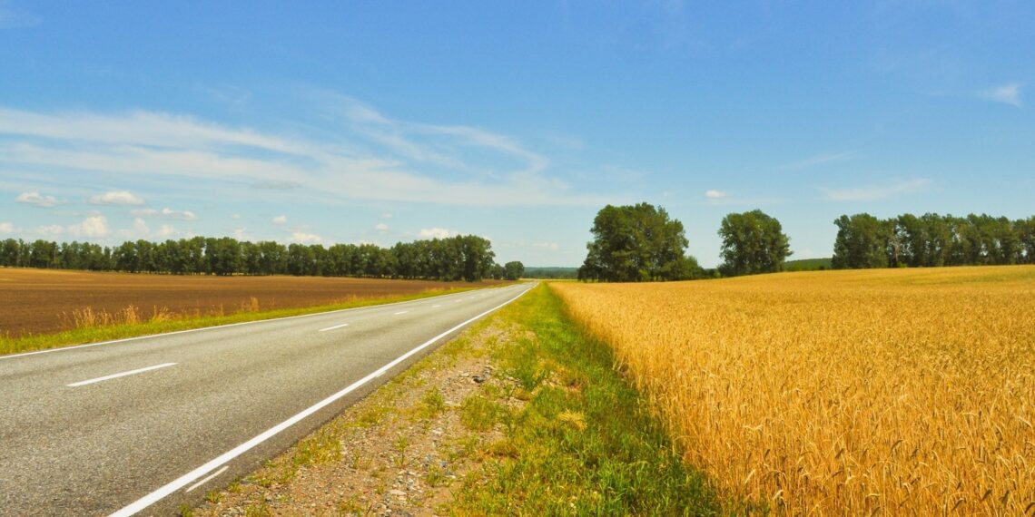 Kuidas vähendada triivi taimekaitsetöödel? Foto: Pixabay