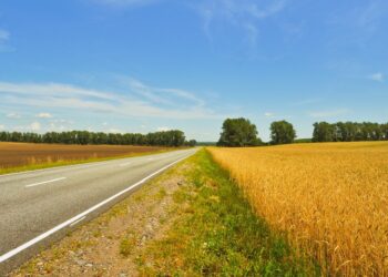 Kuidas vähendada triivi taimekaitsetöödel? Foto: Pixabay