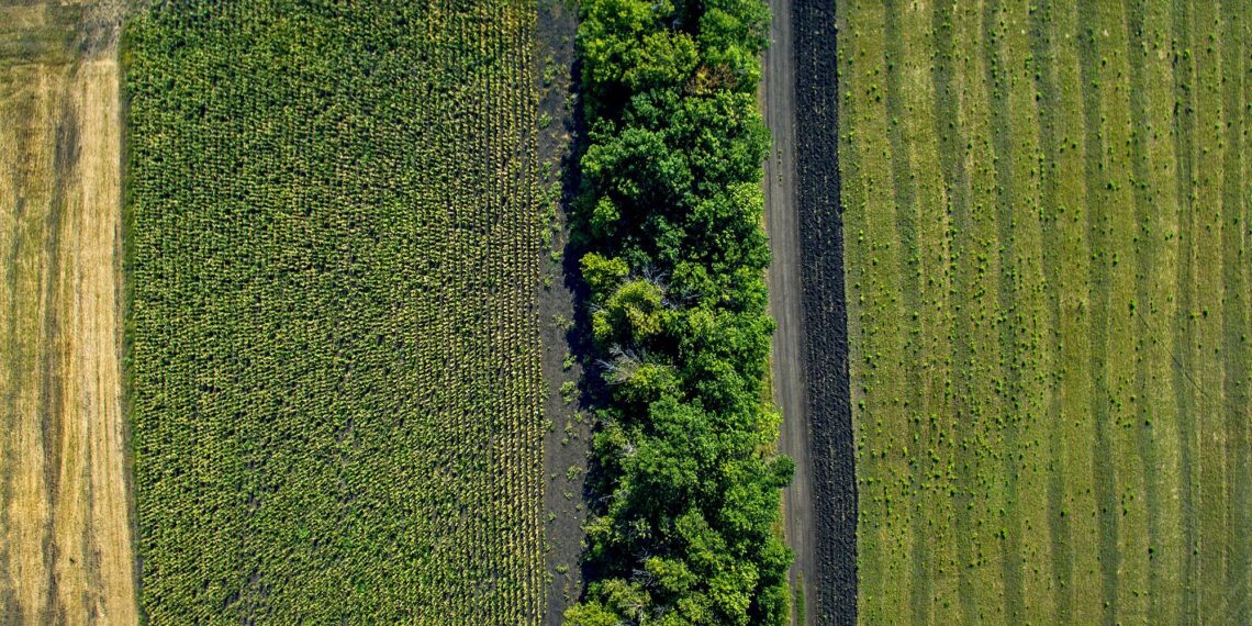 Maa maksustamisel. Foto: Shutterstock