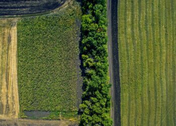 Maa maksustamisel. Foto: Shutterstock