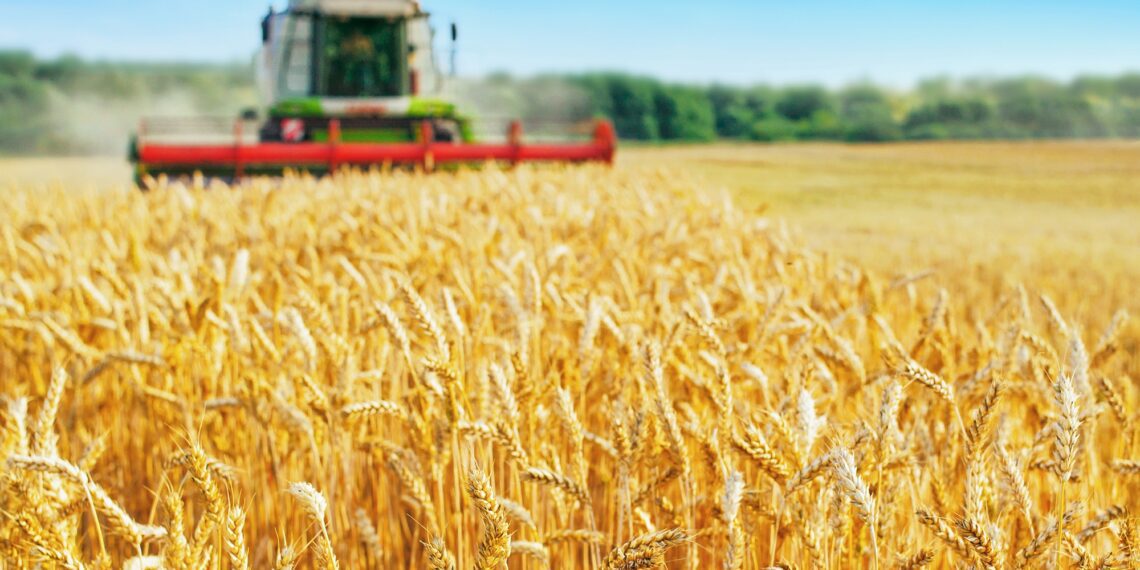 Möödunud aastal Eesti põllumajandustoodang taas suurenes