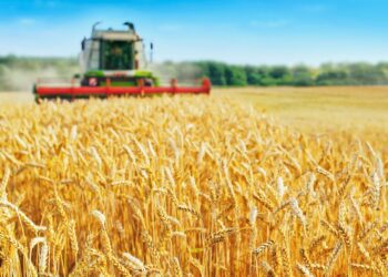 Möödunud aastal Eesti põllumajandustoodang taas suurenes