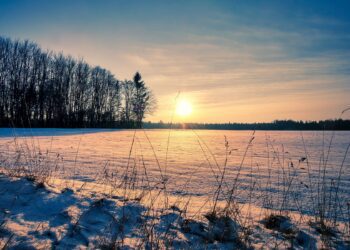 Taliviljapõldudel lumesaanidega sõitmine tekitab suurt kahju. Foto: Pixabay