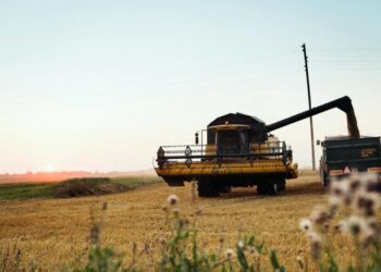 Maapiirkonnas majandustegevuse mitmekesistamise investeeringutoetus ulatub kuni 150 000 euroni. Foto: Katrin Press, Maaeluministeerium