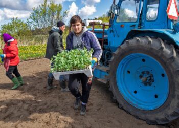 Hooajatöö peab olema seotud kindla ajaga aastas, mil nõudlus tööjõu järele on hooaja tõttu märkimisväärselt suurem kui muul ajal. Fotol Sagro põldudele mullu kevadel kapsataimi istutanud Ukraina töömees Jura. Foto: Sven Arbet, Maaleht/Scanpix