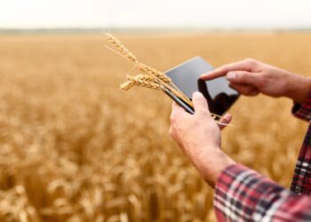 Põllumehe partner PRIA. Foto: Shutterstock