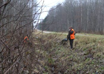 Minister pani jahipiirkondade kasutusõiguse lubade pikendamise stopile. Foto: Toomas Kelt