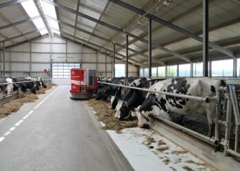 Põllumajanduskoda: järgmise aasta riigieelarve peab toetama rohepööret. Foto: Pixabay