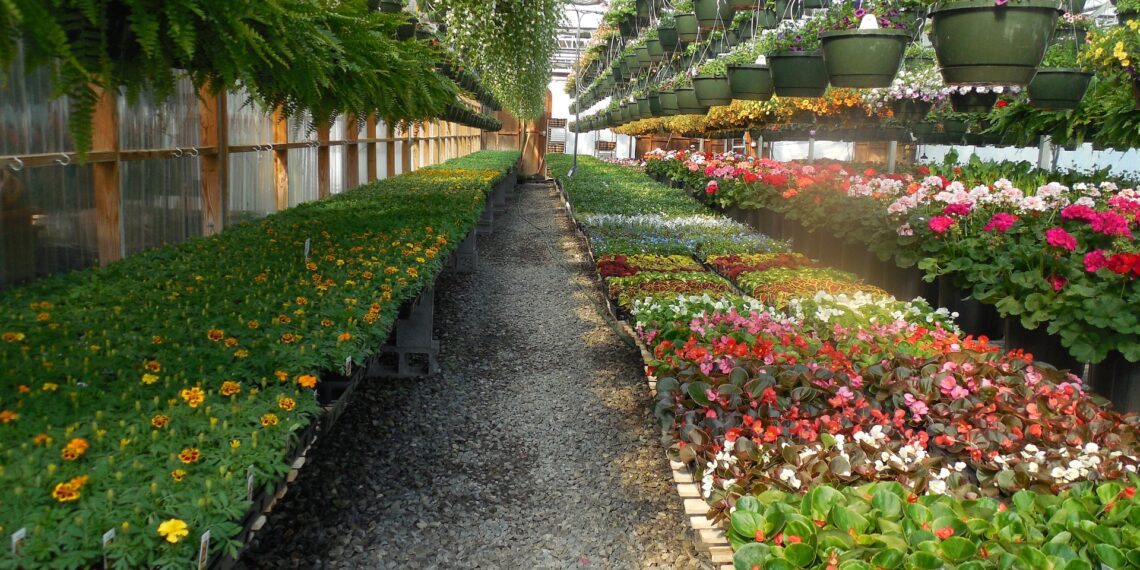 Liidud paluvad kevadhooajale viidates aianduskeskuste avamist. Foto: Pixabay