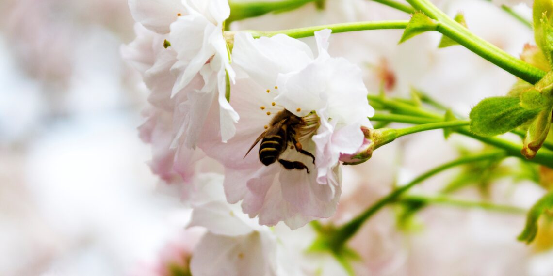 Tihedam koostöö. Foto: Shutterstock