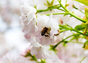 Tihedam koostöö. Foto: Shutterstock