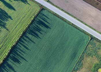 Eesti Põllumajandus-Kaubanduskoda kommentaar seaduseelnõule: meie väärtuslik põllumaa vajab säilitamist, see on piiratud ressurss. Pinnaseiret hakatakse tegema äpiga. Maamaksu tõus. Foto: Pixabay