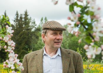 Korjuse-Vanapere talu õunaaias käis tänavu talvel esmakordselt soovimatu külaline. Peremees Ando Eelmaa sõnul rüüstas läbi piirdeaia murdnud põder paarsada õunapuud. Foto: Julia-Maria Linna