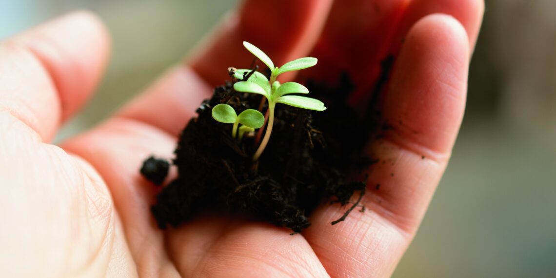 Taimetoiteelementide tasakaal põllumullas tagab hea saagi. Foto: Pixabay