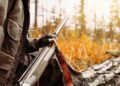 Praegu ei ole jahimeeste ja maaomanike vahelisi jahinduslepinguid massiliselt sõlmima tõtatud. Foto: Shutterstock