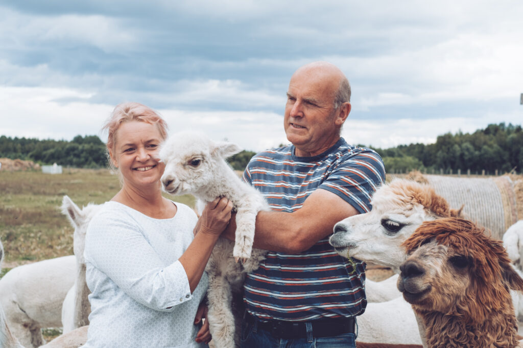 Parim Talu 2021 kandidaat. Kaja Varmisoni ja Kai Ødegårdstueni alpakafarm on kasvanud 140-pealiseks, lisaks peetakse talus muidki loomi. Fotod: Gelis Pihelgas
