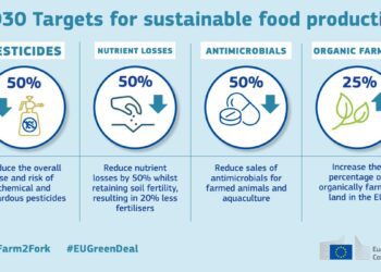 Talust taldrikule strateegial on tohutud tagajärgjed ELi toidutootmisele