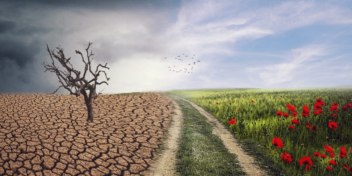 Eesmärk 55. Foto: Shutterstock