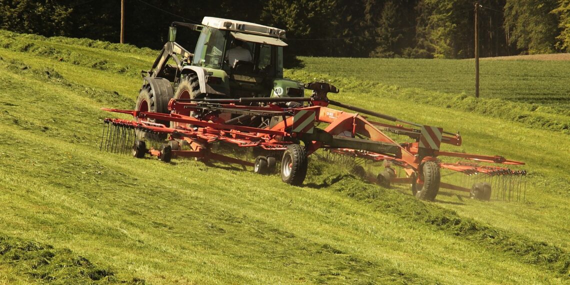 Maa väärtus. Foto: Pixabay