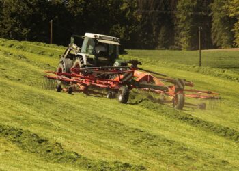 Maa väärtus. Foto: Pixabay