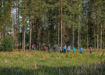 Metsarahva päev. Ilmataat rõõmustas 18. septembril metsarahva päeval osalenud inimesi suurepärase päikeselise ilmaga. Foto: Ken Oja